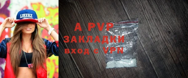 соль ск Алексин