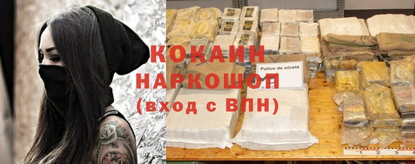соль ск Алексин