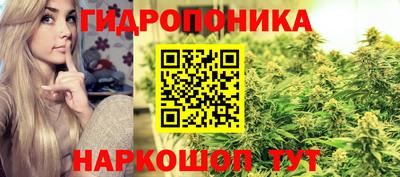 молекула духа Комсомольск-на-Амуре